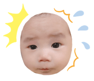 429291212