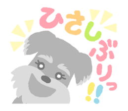 4292915