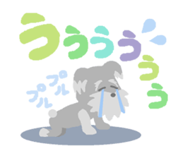 4292939