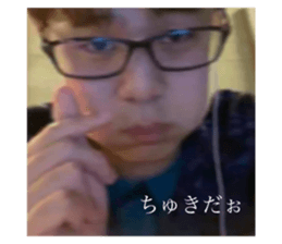 429303119