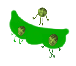 429304959