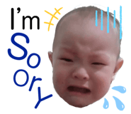 429314853