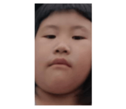 429325946
