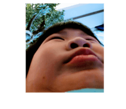 429325948
