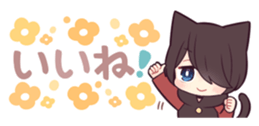 429337781