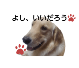 429340407