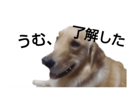 429340412