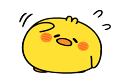 429397995