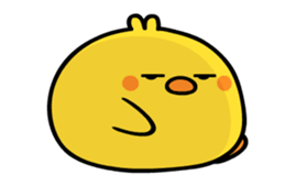 429398004
