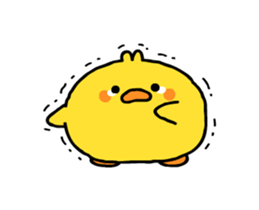 429398007