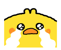 429398008