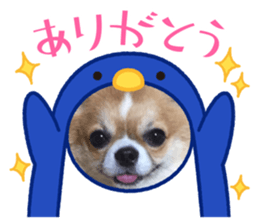 429415374