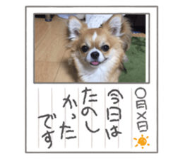 429415375