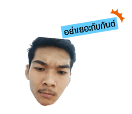 429427535
