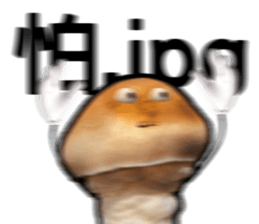 429466888