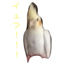 429498221