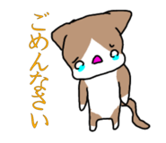 429539606