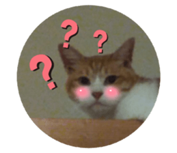 429552153