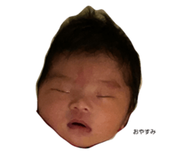 429552240