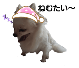 429570958