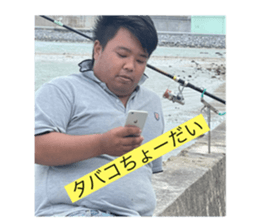 429577536