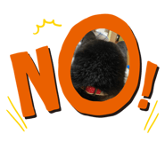 429583188