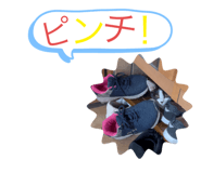 429583198