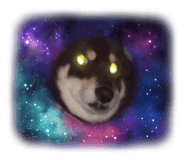 429583206