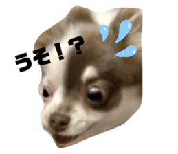 429592354