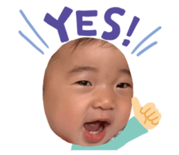 429603946