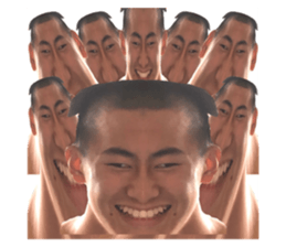 429603958