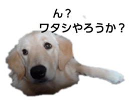 429624202