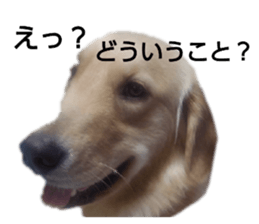 429624205