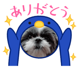 429626424