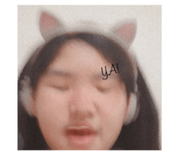 429637965