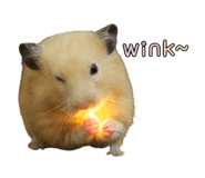429638543