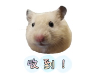 429638558