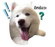 429653171
