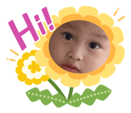 429653549