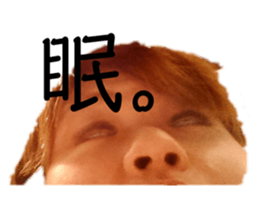 429675375