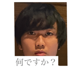 429680202