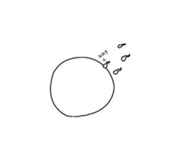 429683596