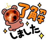 429684382