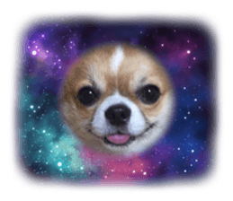 429699326