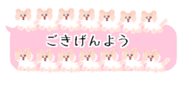 429749977