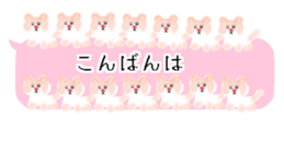 429749978