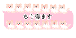 429749980