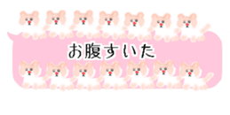 429749983
