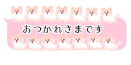 429749991