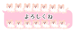 429749994